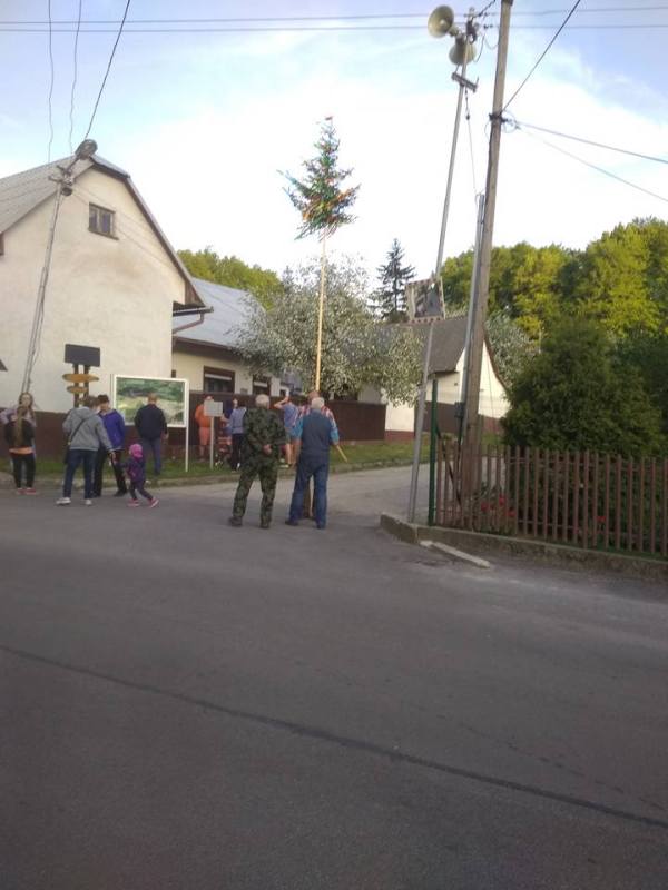 Fotogaléria Stavanie mája pred Obecným úradom 31.05.2018 (11) Stavanie mája pred Obecným úradom 31.05.2018